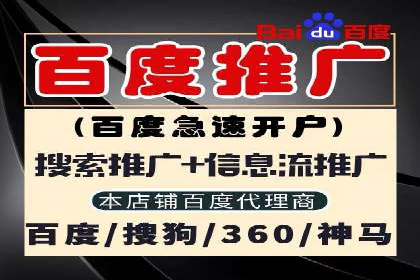 成功SEM托管案例解析